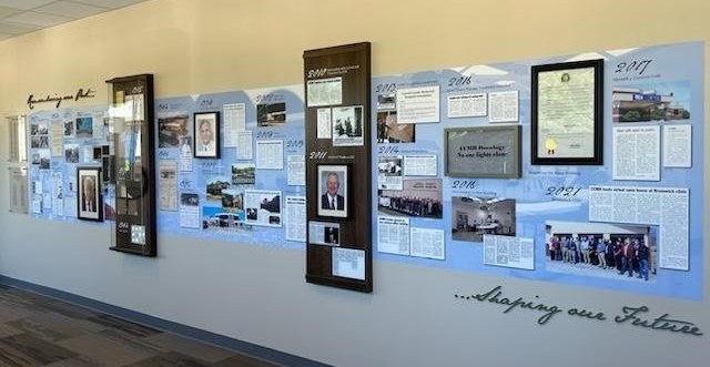 Historical Timeline, Healthcare, Custom Printed Wallpaper, History Wall