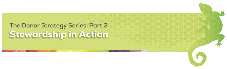 The Donor Strategy Series: Part 3 - Stewardship in Action