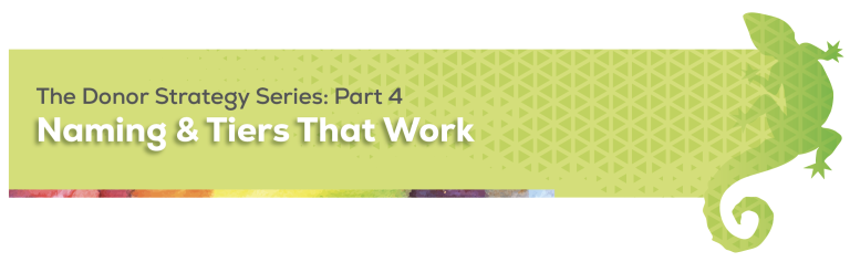Donor recognition strategy series that gives guidance on naming categories and setting tiers that work