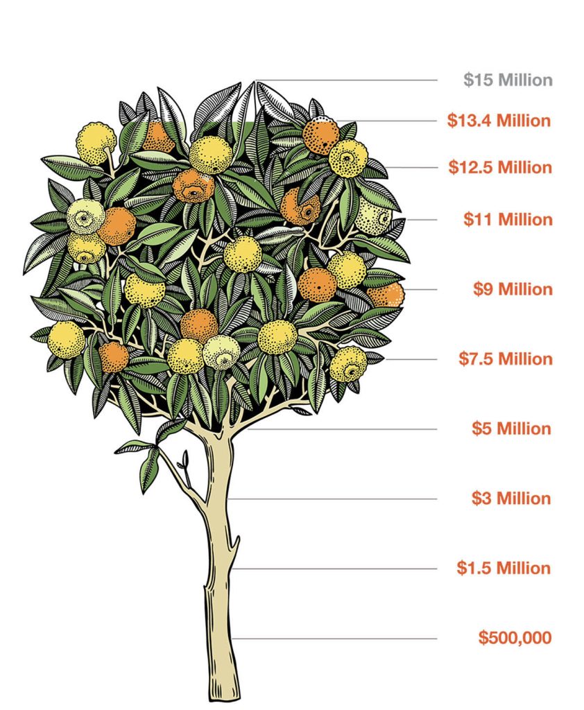 Healthcare Network campaign donor recognition concept showing orange tree donor giving levels